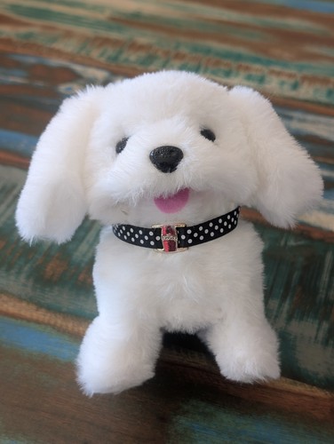 Puppy dog plushie - white, toy