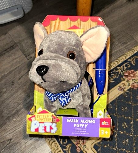 Pitter patter pets walk along - pets,