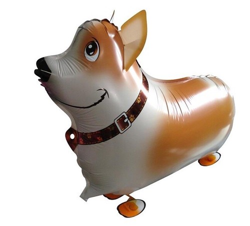 Corgi dog balloon - dog, walking