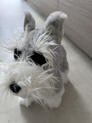 Toy dogs walking and - 2, dogs-