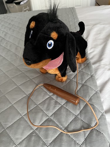 Plush toy dog addo - plush,