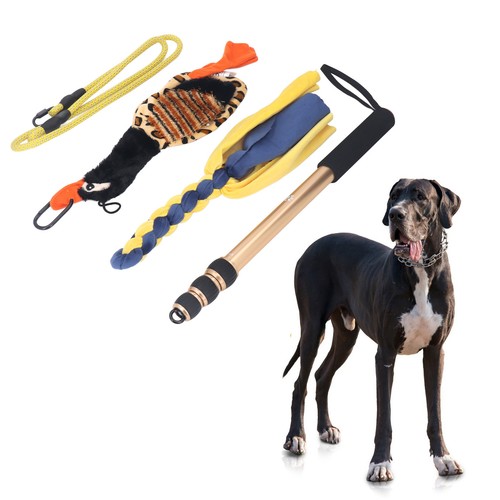 Pet teasing flirt pole - pet,