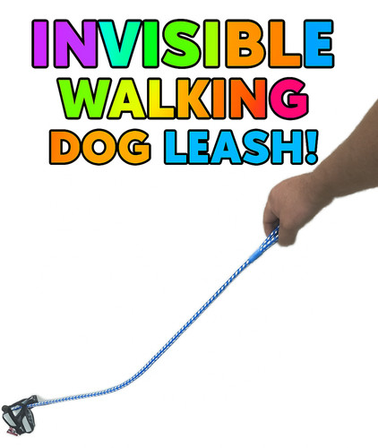 New invisible walking dog - invisible,