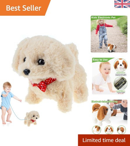Multifunctional walking dog - walking,