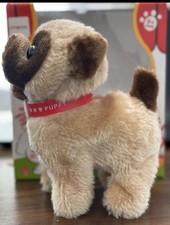 Cute Dog Walking Barking