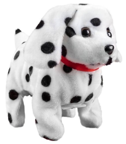 Dalmatian puppy dog walks - dog,