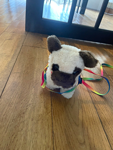Small plush dog soft toy - soft, white