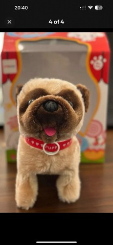 Cute dog walking barking - cute,
