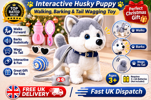 Walking barking husky puppy - walking,